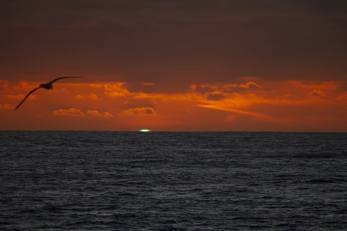 Green flash at sunset over the water