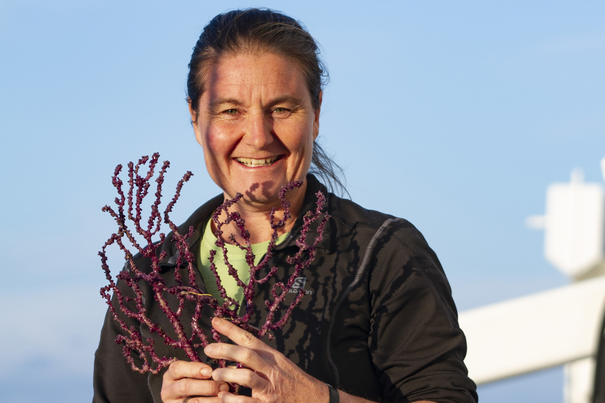 Kirrily with a fresh specimen of the purple soft coral that she had the good fortune to collect on the voyage. 
