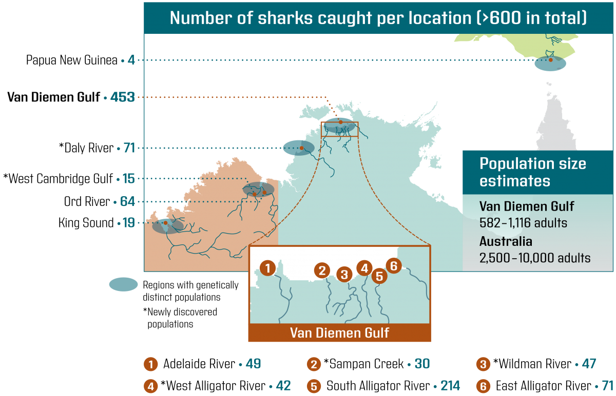 A map showing the number of sharks caught per location