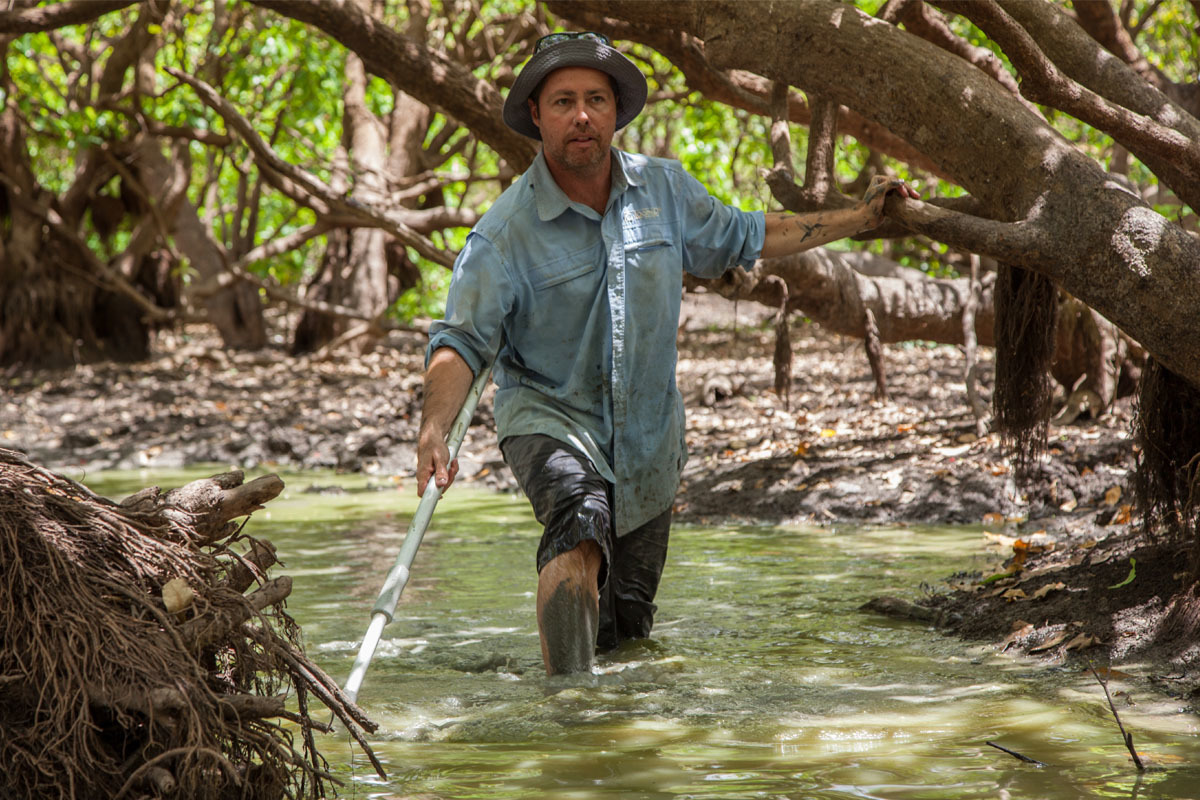Scientist Peter Kyne searches for sawfish in a waterhole.