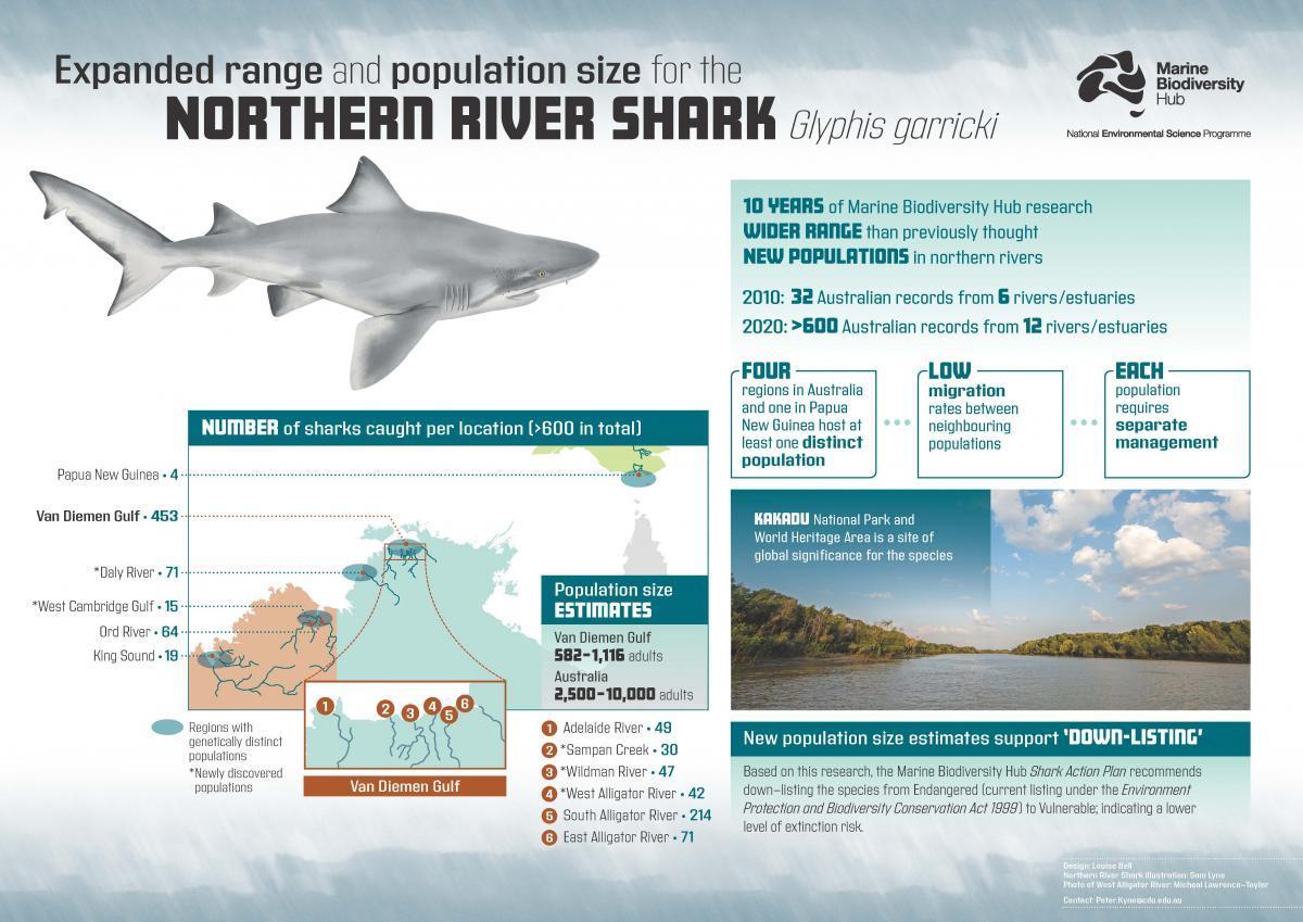 A poster summarising Northern River Shark research findings
