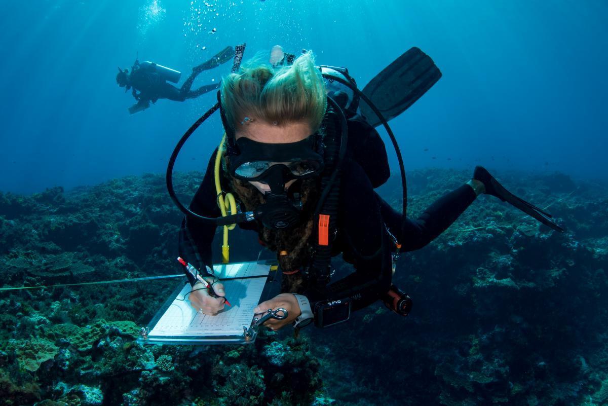 Reef Life Survey Diver Caitlin Woods