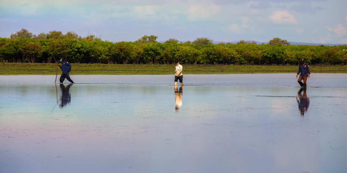 Indigenous rangers and a marine scientist search for sawfish on the Daly River floodplain