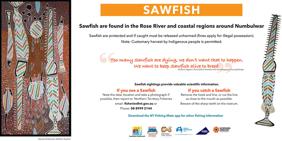 Sawfish conservation sign for Numbulwar