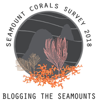 Seamounts logo with corals