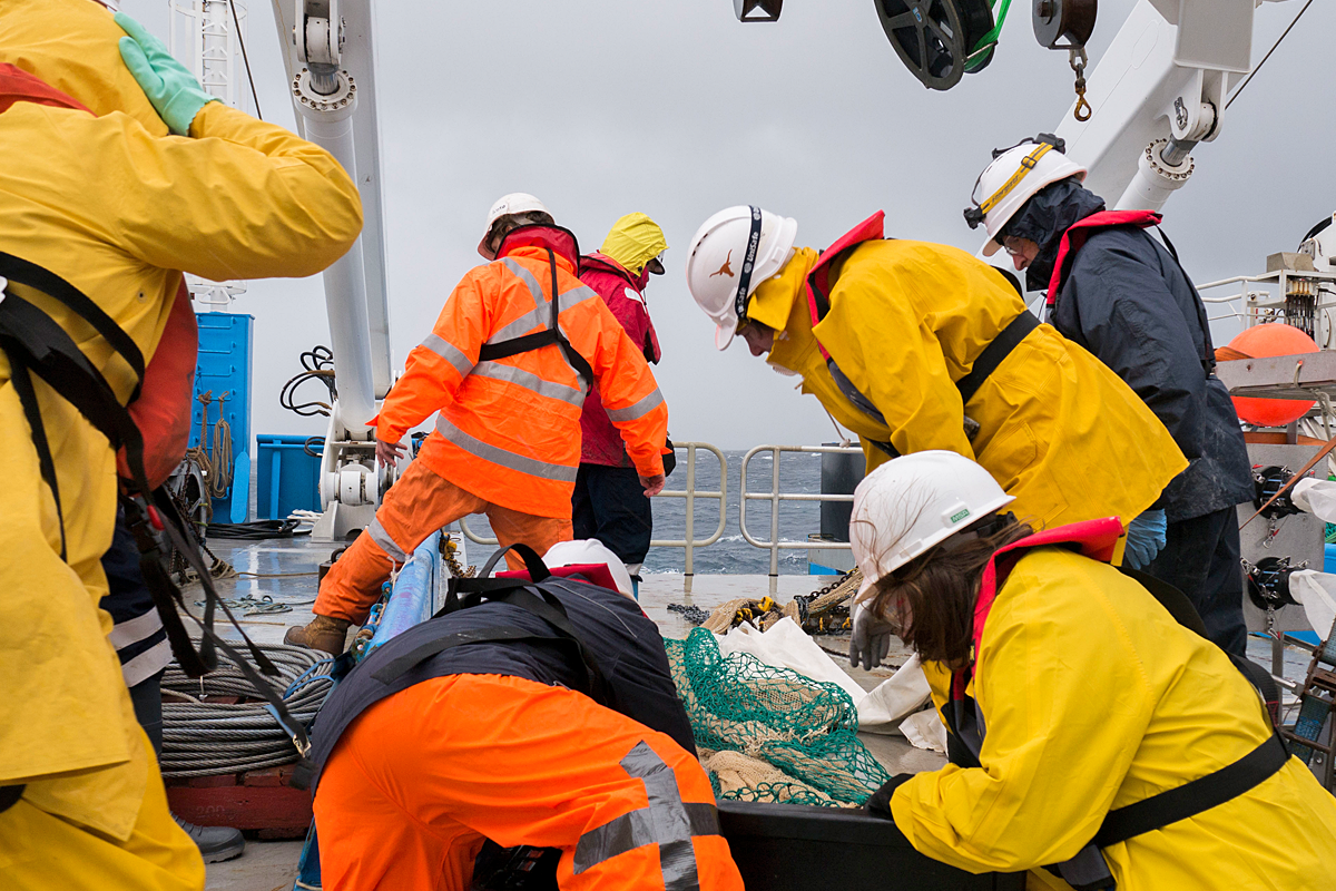 Scientists sort the catch into tubs on deck