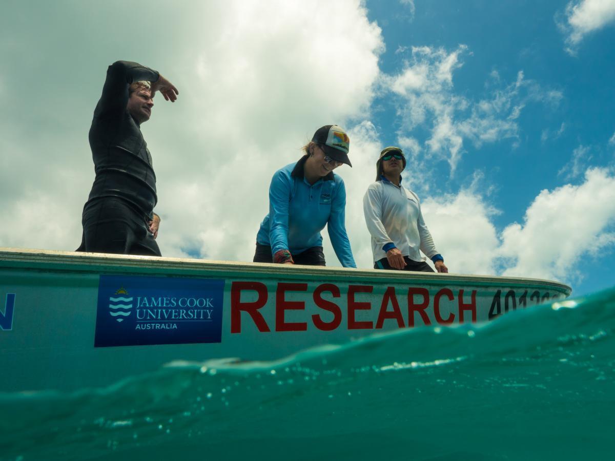Scientists on a small boat looking for hammerhead sharks to tag.