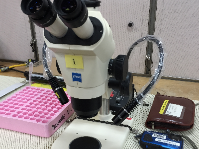 A microscope on a sticky mat in the lab
